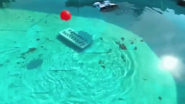 Underwater target recognition for autonomous stealth tracking
